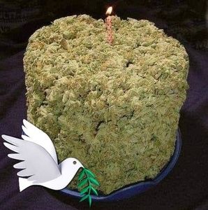 Meet your Posher, Allen